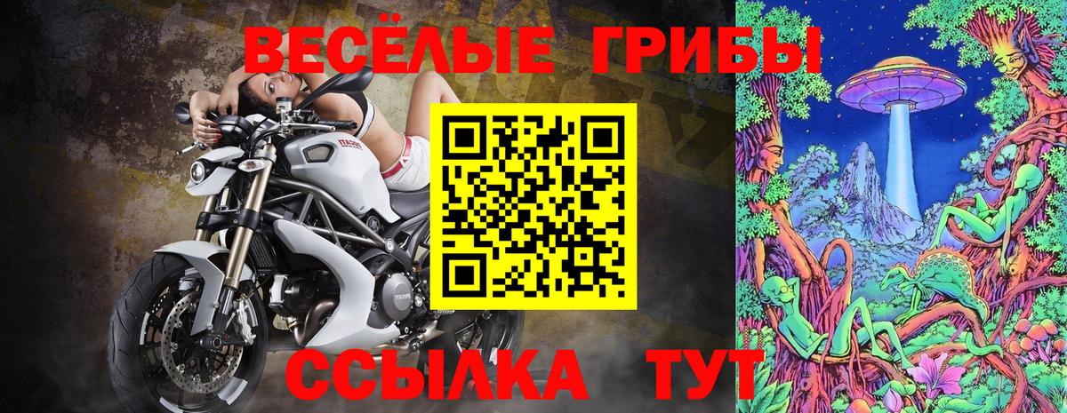 Галлюциногенные грибы Magic Shrooms  купить наркотик  Орехово-Зуево  Вход с VPN  Псилоцибиновые грибы ЛСД 