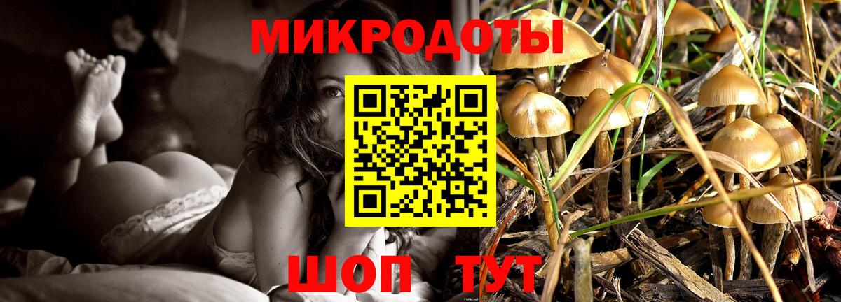 Галлюциногенные грибы Magic Shrooms Орехово-Зуево